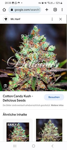 Screenshot_20230817_203850_Chrome