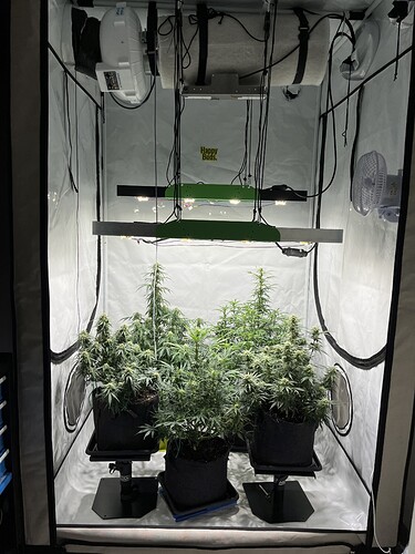 Growreport Bild 18