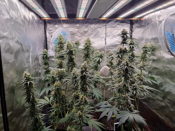 Growreport Bild 24