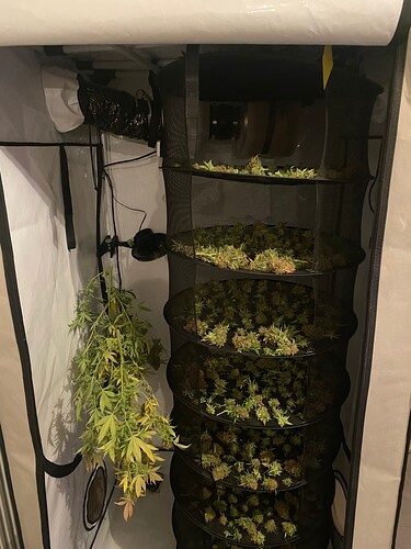 Growreport Bild 5