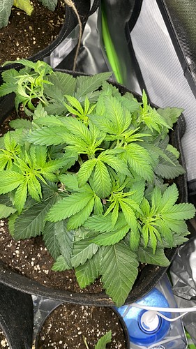 Growreport Bild 21