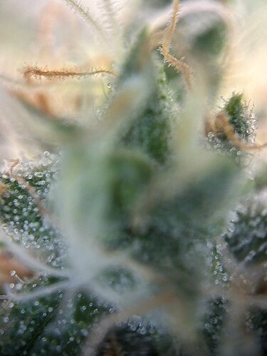 Growreport Bild 18