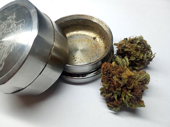 Growreport Bild 14