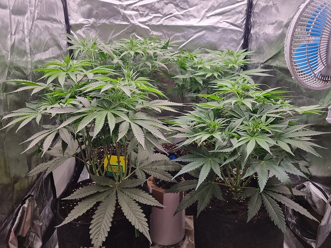 Growreport Bild 23