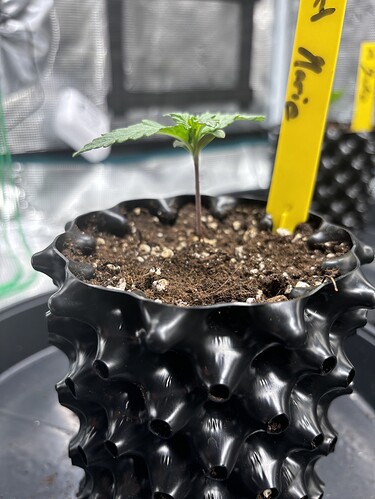 Growreport Bild 46