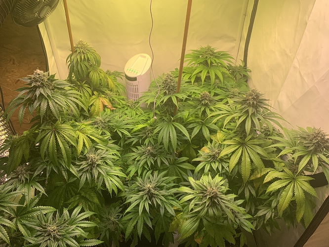 Growreport Bild 2