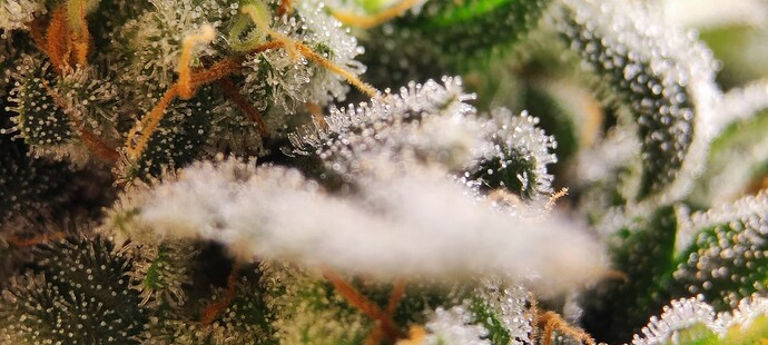 Growreport Bild 24