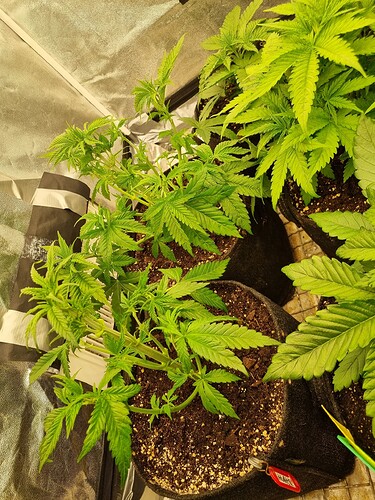 Growreport Bild 18