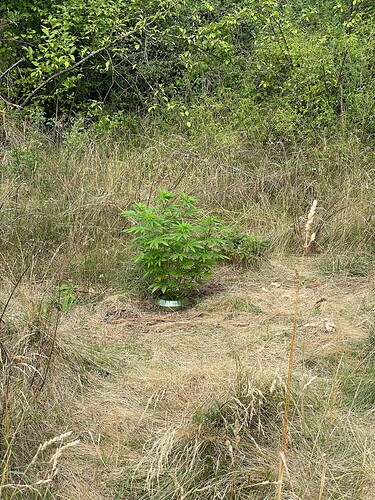 Growreport Bild 14
