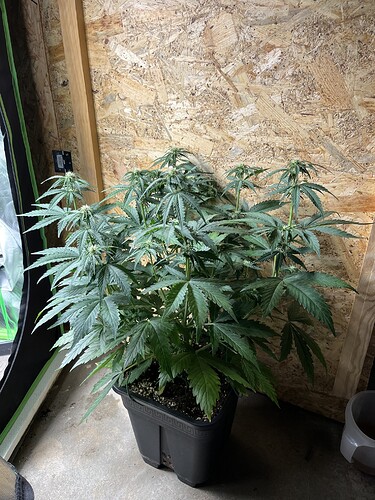 Growreport Bild 19