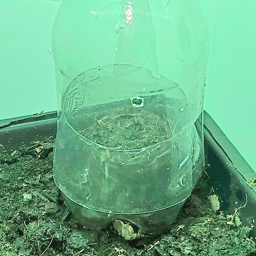 20240123_100535