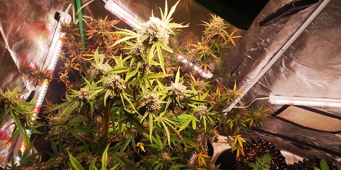 Growreport Bild 18