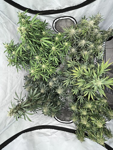 Growreport Bild 21