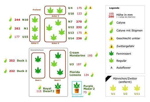 GrowPlan2208_v02