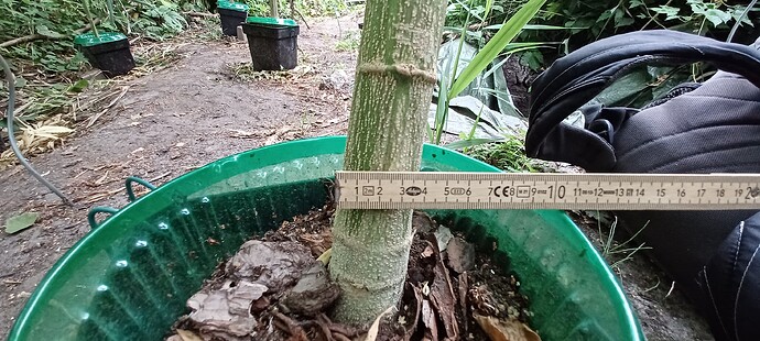Growreport Bild 13