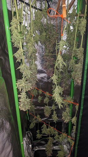 Growreport Bild 11