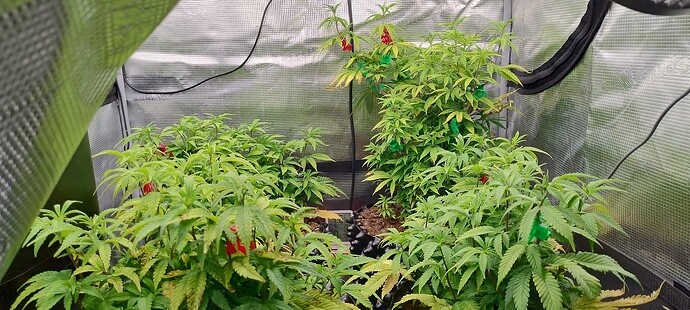 IMG_20251030_122336292_HDR