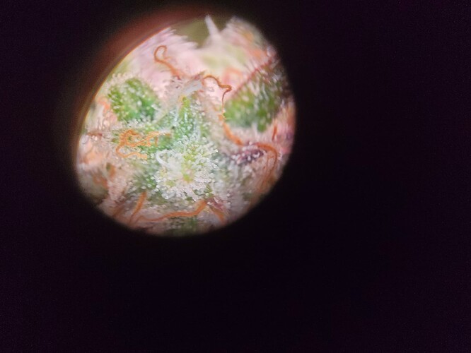 Growreport Bild 30