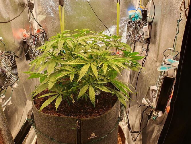 Tag 32 -2026-03-08-233345_004