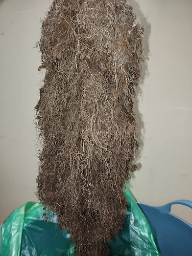 Growreport Bild 8