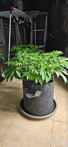 Growreport Bild 21