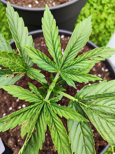 Growreport Bild 12