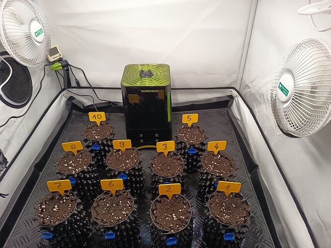 Growreport Bild 5