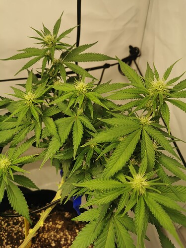 Growreport Bild 10