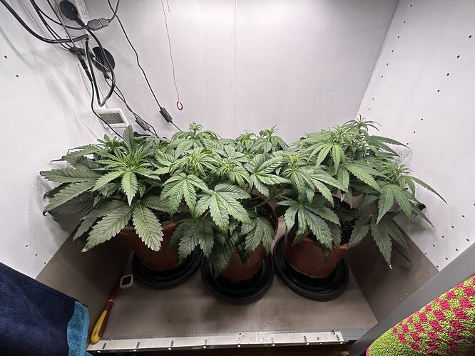 Growreport Bild 24