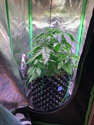 WhatsApp Bild 2024-12-10 um 16.18.18_93c5465e