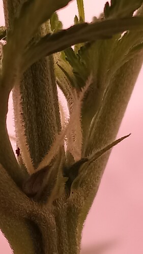 Growreport Bild 18