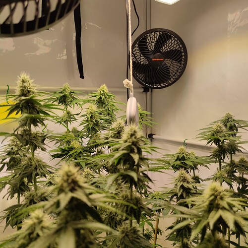 Growreport Bild 13