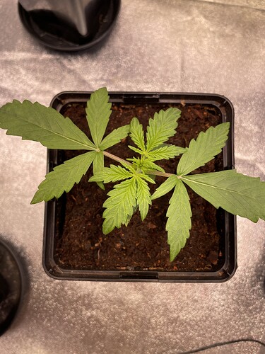 Growreport Bild 13