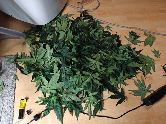 Growreport Bild 22