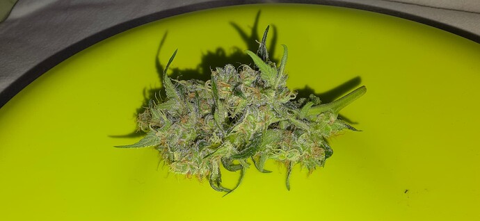 Growreport Bild 9
