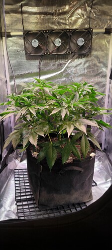 Growreport Bild 7