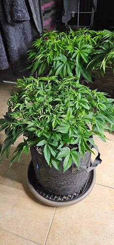 Growreport Bild 21