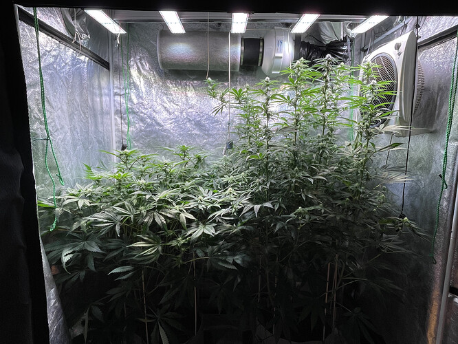 Growreport Bild 1