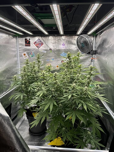 Growreport Bild 33