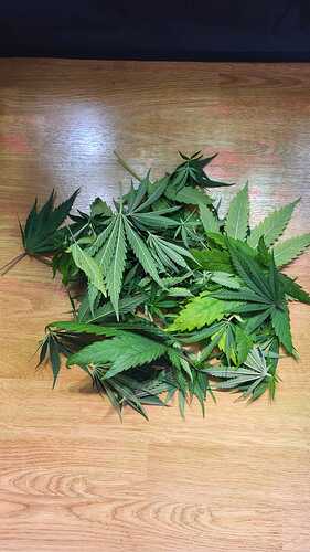 Growreport Bild 6