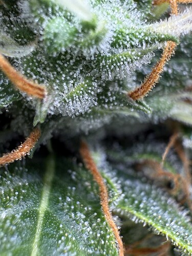 Growreport Bild 16