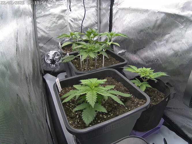 Growreport Bild 3