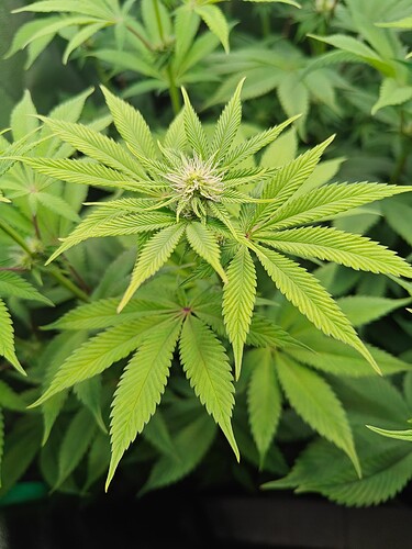 Growreport Bild 6