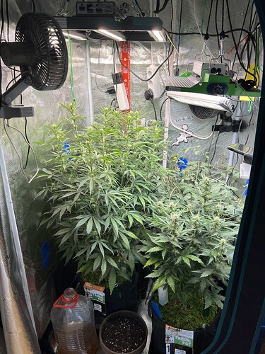 Growreport Bild 2