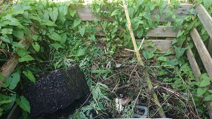 Growreport Bild 27
