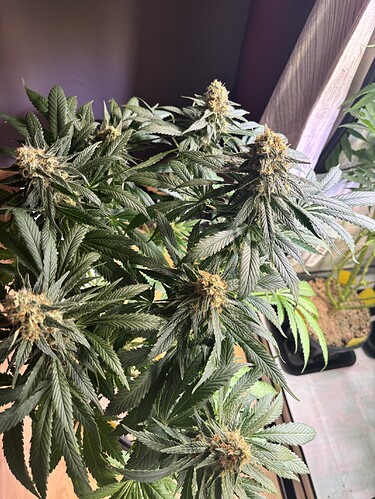 Growreport Bild 12