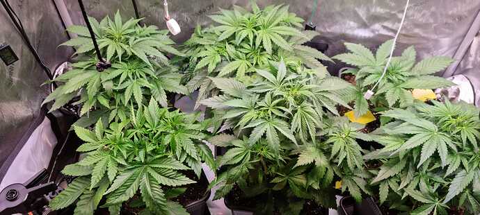 WhatsApp Image 2025-12-16 at 12.54.00 (8)