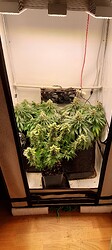 Growreport Bild 5