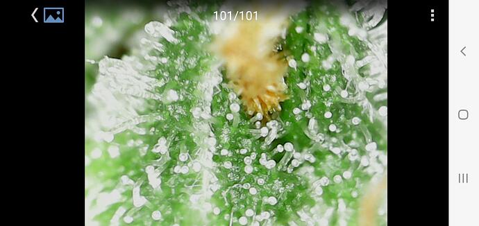 signal-2024-07-21-223644_006