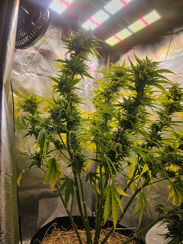 Growreport Bild 15